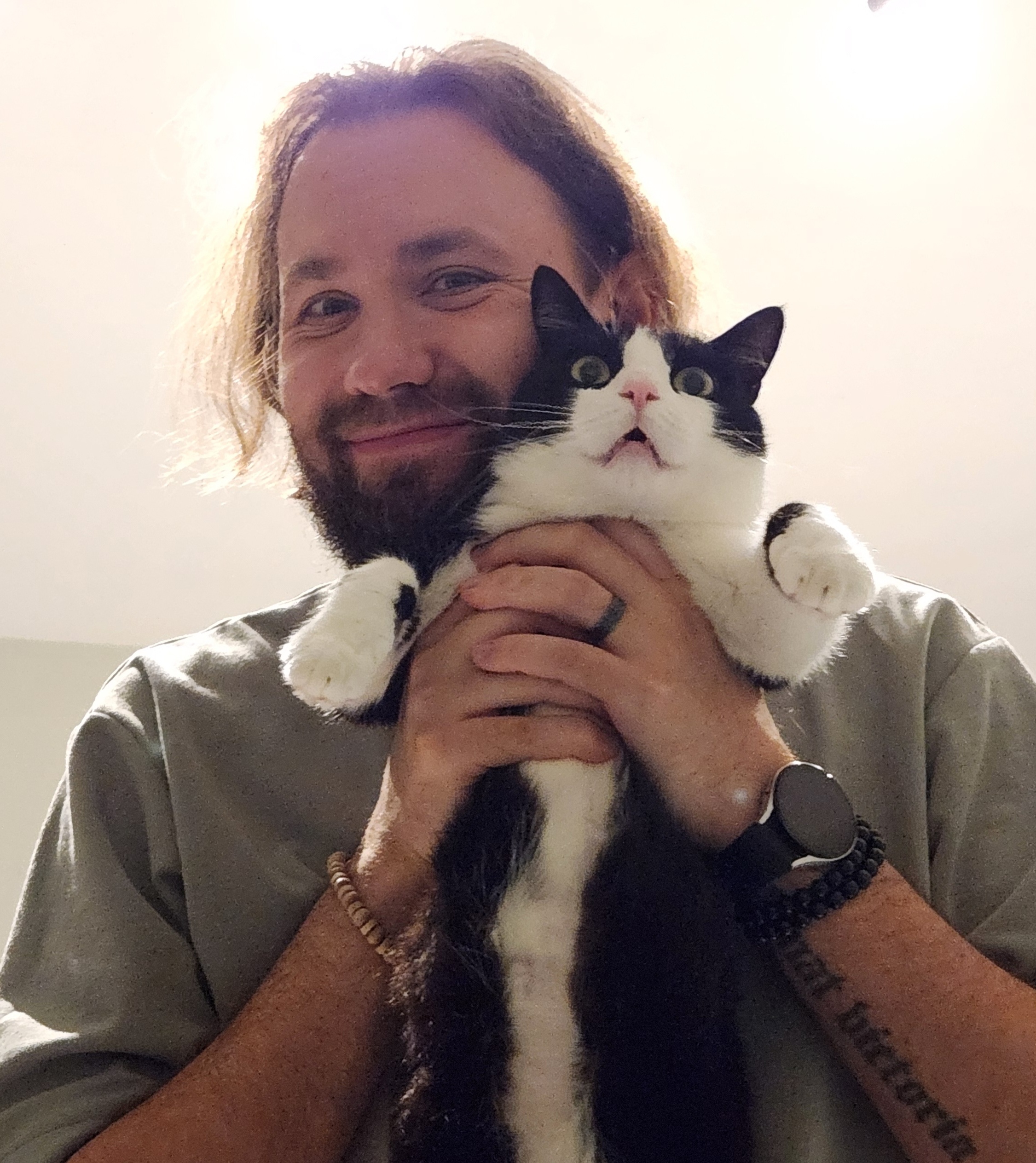 Сигна от кота Хавьера